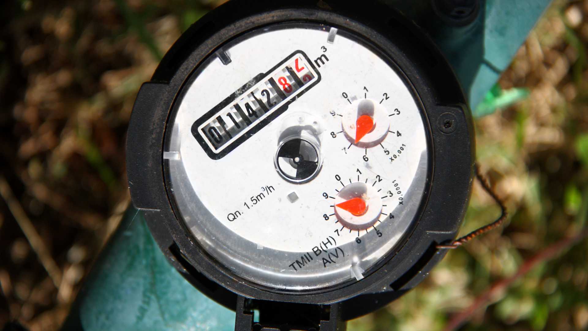 Gartenwasserzähler: Jahresablesung beginnt Mitte Oktober | WasserPunkt